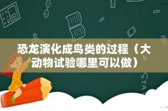 大动物试验哪里可以做 恐龙演化成鸟类的过程