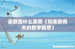 和素数有关的数学猜想 素数是什么意思
