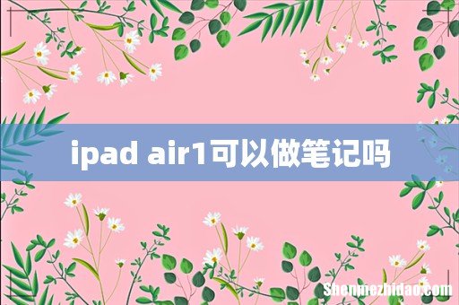 ipad air1可以做笔记吗