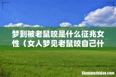 女人梦见老鼠咬自己什么预兆 梦到被老鼠咬是什么征兆女性