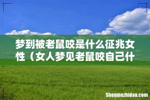 女人梦见老鼠咬自己什么预兆 梦到被老鼠咬是什么征兆女性