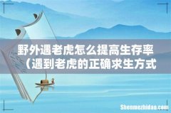 遇到老虎的正确求生方式 野外遇老虎怎么提高生存率