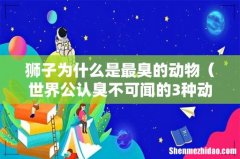 世界公认臭不可闻的3种动物 狮子为什么是最臭的动物