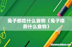 兔子喂养什么食物 兔子都吃什么食物