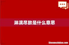 淋漓尽致是什么意思