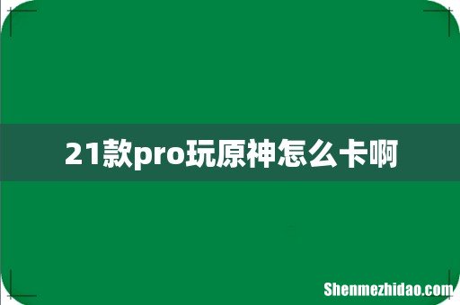 21款pro玩原神怎么卡啊