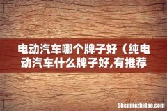 纯电动汽车什么牌子好,有推荐的吗 电动汽车哪个牌子好