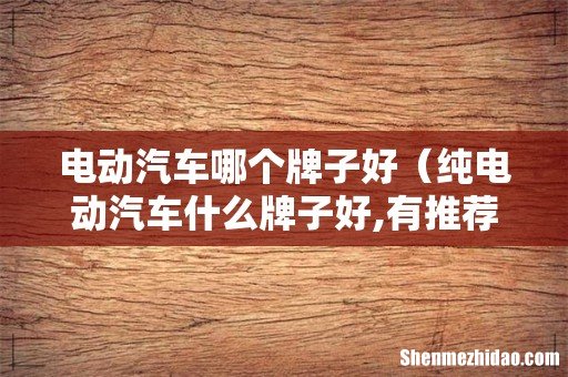 纯电动汽车什么牌子好,有推荐的吗 电动汽车哪个牌子好