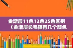 金渐层长毛猫有几个颜色 金渐层11色12色25色区别