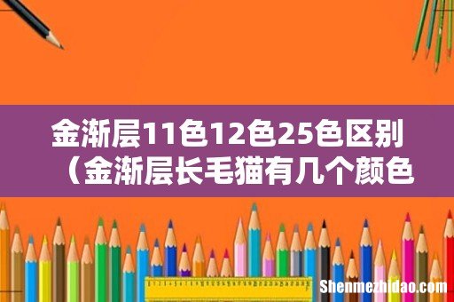金渐层长毛猫有几个颜色 金渐层11色12色25色区别