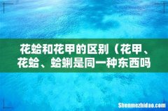 花甲、花蛤、蛤蜊是同一种东西吗 花蛤和花甲的区别