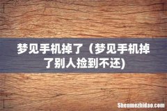 梦见手机掉了（梦见手机掉了别人捡到不还)