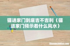 猫进家门预示着什么风水 猫进家门到底吉不吉利