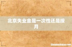 北京失业金是一次性还是按月