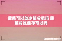 菠菜可以放冰箱冷藏吗 菠菜冷冻保存可以吗