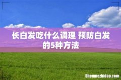 长白发吃什么调理 预防白发的5种方法