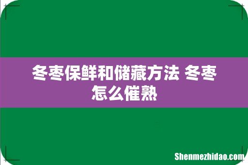 冬枣保鲜和储藏方法 冬枣怎么催熟