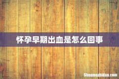 怀孕早期出血是怎么回事