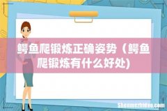 鳄鱼爬锻炼正确姿势（鳄鱼爬锻炼有什么好处)