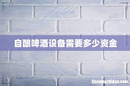 自酿啤酒设备需要多少资金