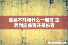 莲藕不能和什么一起吃 莲藕到底养胃还是伤胃