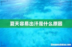 夏天容易出汗是什么原因
