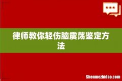 律师教你轻伤脑震荡鉴定方法