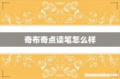 奇布奇点读笔怎么样