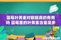 蓝莓叶黄素对眼睛真的有用吗 蓝莓里的叶黄素含量是多少