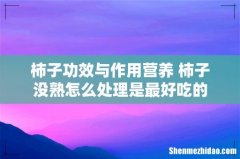 柿子功效与作用营养 柿子没熟怎么处理是最好吃的