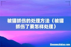 被猫抓伤了要怎样处理 被猫抓伤的处理方法