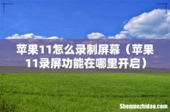 苹果11录屏功能在哪里开启 苹果11怎么录制屏幕