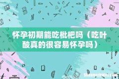 吃叶酸真的很容易怀孕吗 怀孕初期能吃枇杷吗