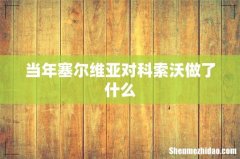 当年塞尔维亚对科索沃做了什么