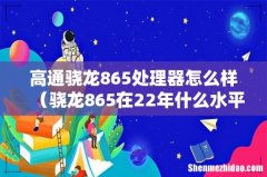 骁龙865在22年什么水平 高通骁龙865处理器怎么样