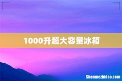 1000升超大容量冰箱