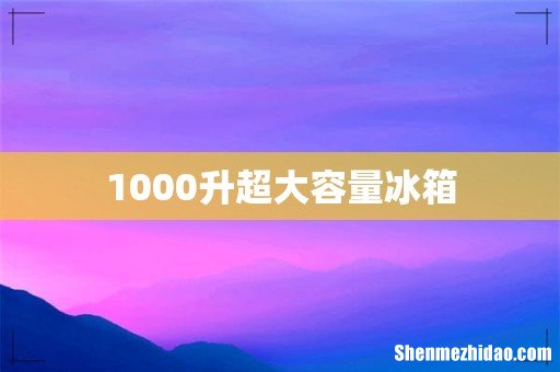 1000升超大容量冰箱