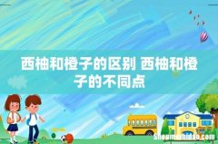 西柚和橙子的区别 西柚和橙子的不同点