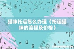 托运猫咪的流程及价格 猫咪托运怎么办理