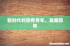 新时代的四有青年，是哪四有