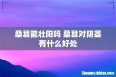 桑葚能壮阳吗 桑葚对阴茎有什么好处