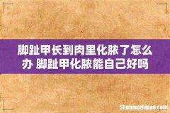 脚趾甲长到肉里化脓了怎么办 脚趾甲化脓能自己好吗