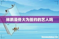 林鹏是佟大为签约的艺人吗