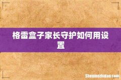格雷盒子家长守护如何用设置