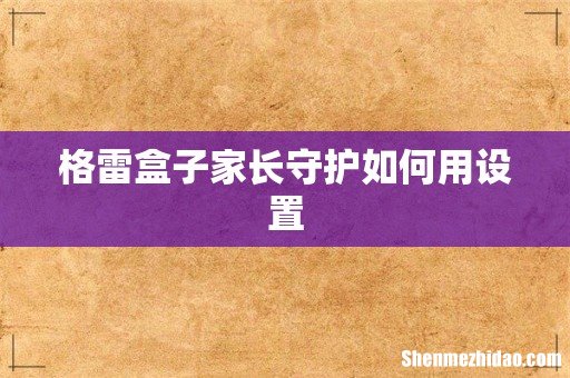 格雷盒子家长守护如何用设置