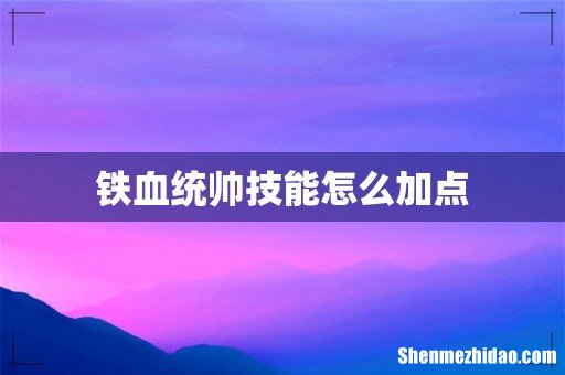 铁血统帅技能怎么加点
