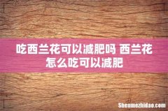 吃西兰花可以减肥吗 西兰花怎么吃可以减肥