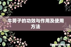 牛蒡子的功效与作用及使用方法