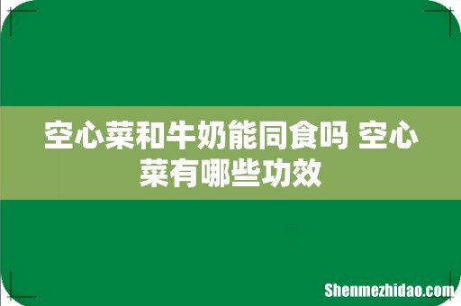 空心菜和牛奶能同食吗 空心菜有哪些功效