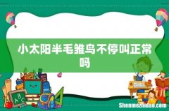 小太阳半毛雏鸟不停叫正常吗